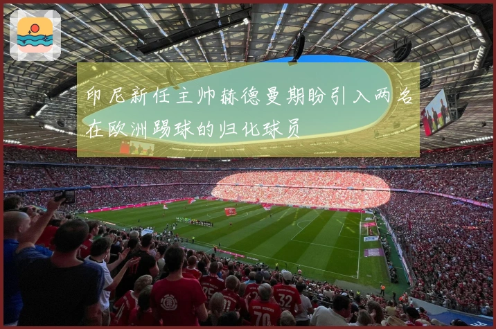 印尼新任主帅赫德曼期盼引入两名在欧洲踢球的归化球员